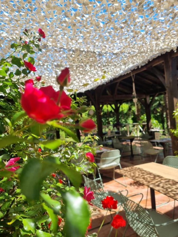 Hotel Restaurant Du Commerce Estang ภายนอก รูปภาพ